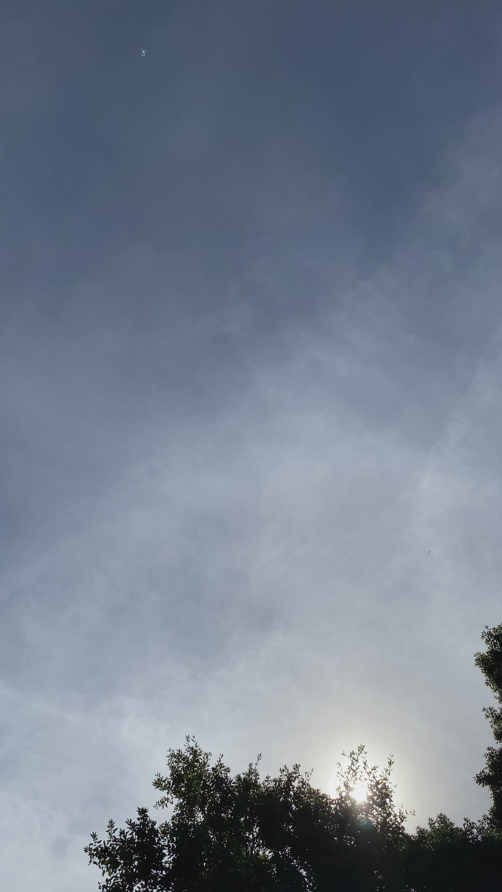 Chouchou en satin - Alexandra