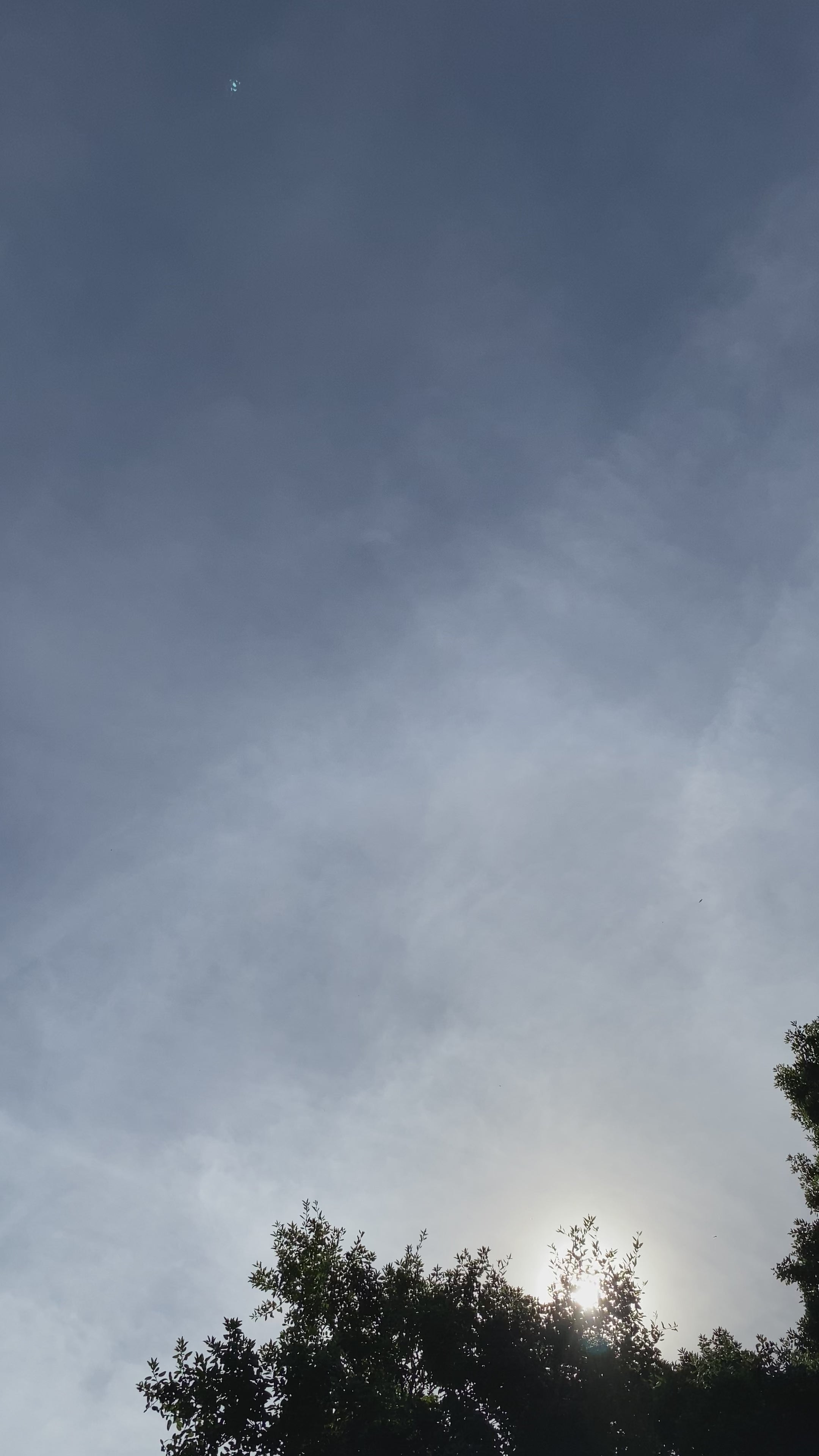 Chouchou en satin - Alexandra